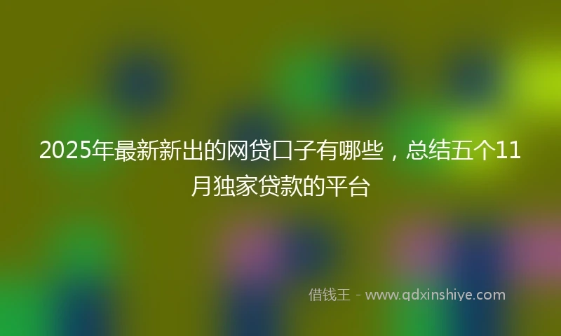 2025年最新新出的网贷口子有哪些，总结五个11月独家贷款的平台