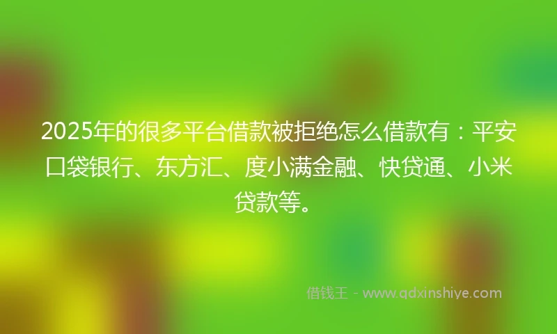 2025年的很多平台借款被拒绝怎么借款有：平安口袋银行、东方汇、度小满金融、快贷通、小米贷款等。