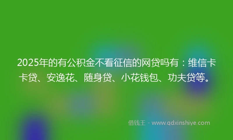2025年的有公积金不看征信的网贷吗有：维信卡卡贷、安逸花、随身贷、小花钱包、功夫贷等。