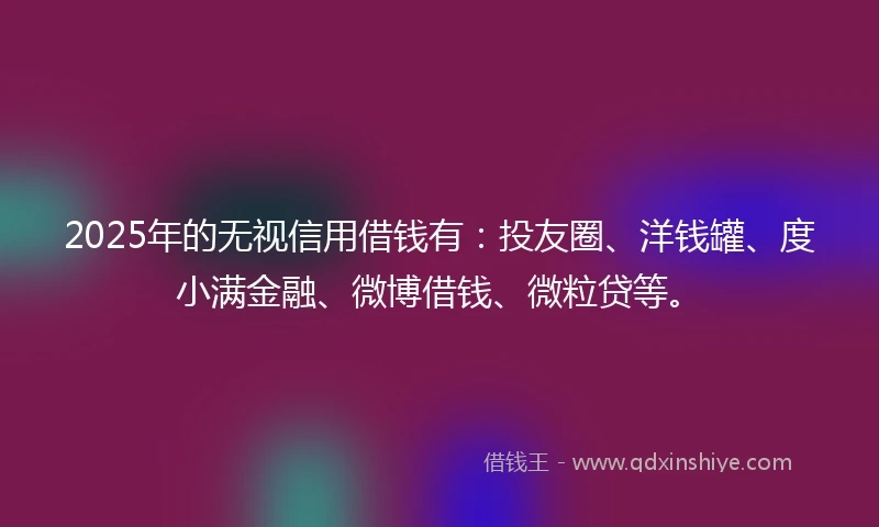 2025年的无视信用借钱有：投友圈、洋钱罐、度小满金融、微博借钱、微粒贷等。