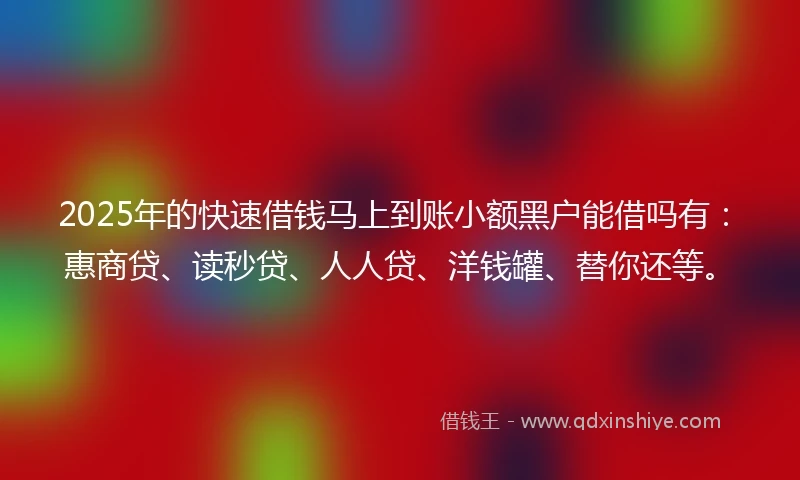2025年的快速借钱马上到账小额黑户能借吗有：惠商贷、读秒贷、人人贷、洋钱罐、替你还等。