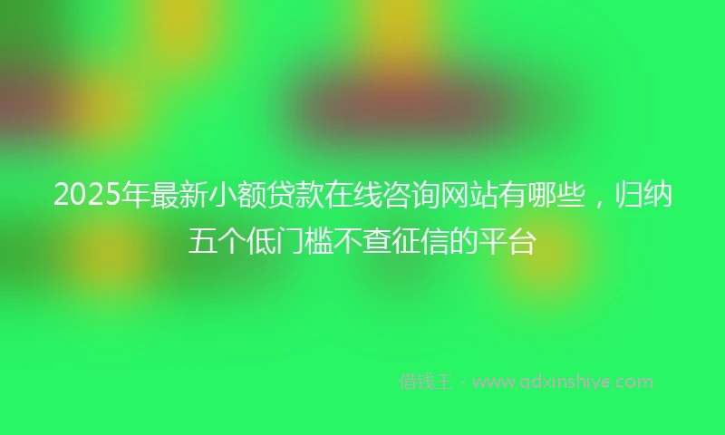 2025年最新小额贷款在线咨询网站有哪些,归纳五个低门槛不查征信的平台
