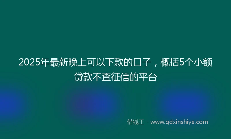2025年最新晚上可以下款的口子，概括5个小额贷款不查征信的平台