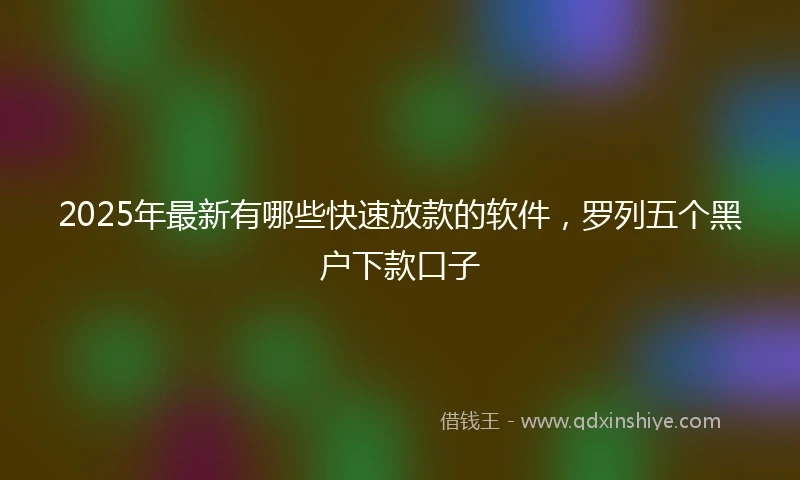 2025年最新有哪些快速放款的软件，罗列五个黑户下款口子