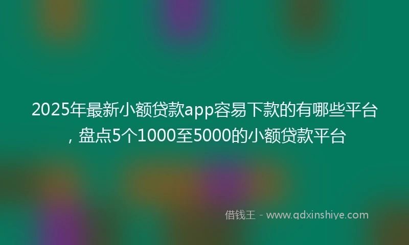 2025年最新小额贷款app容易下款的有哪些平台，盘点5个1000至5000的小额贷款平台