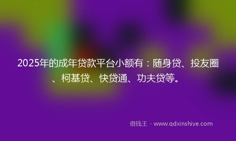 2025年的成年贷款平台小额有：随身贷、投友圈、柯基贷、快贷通、功夫贷等。