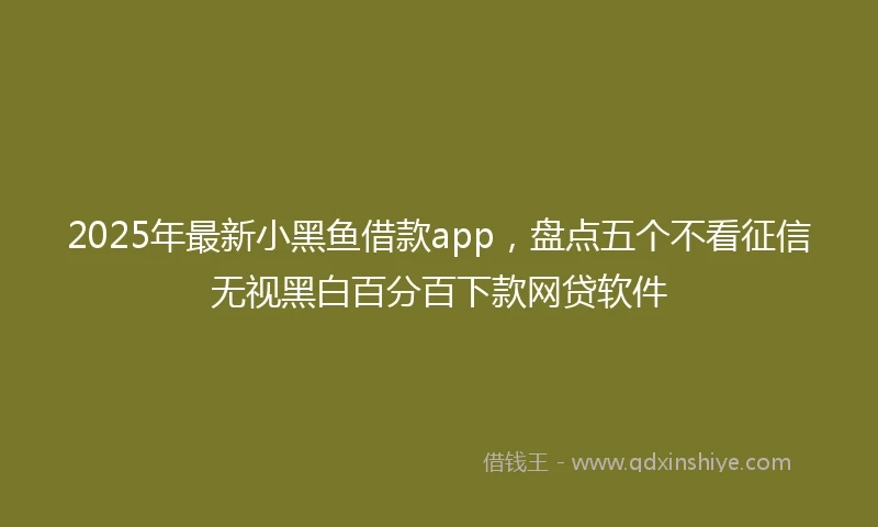 2025年最新小黑鱼借款app，盘点五个不看征信无视黑白百分百下款网贷软件