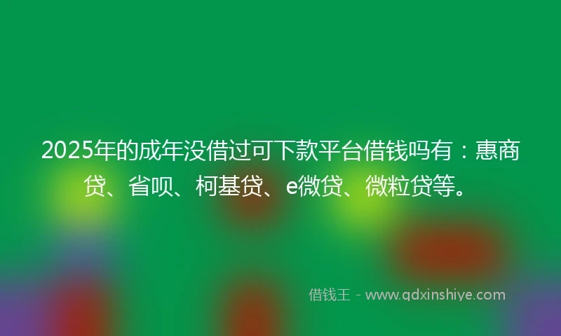 2025年的成年没借过可下款平台借钱吗有：惠商贷、省呗、柯基贷、e微贷、微粒贷等。