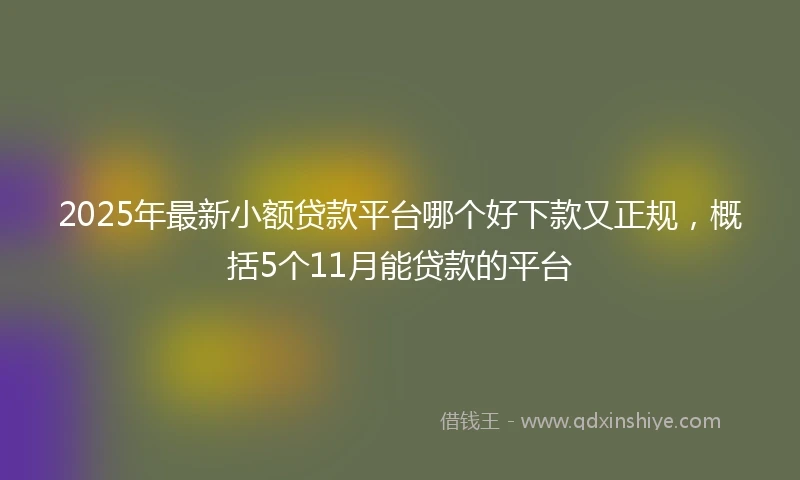 2025年最新小额贷款平台哪个好下款又正规，概括5个11月能贷款的平台