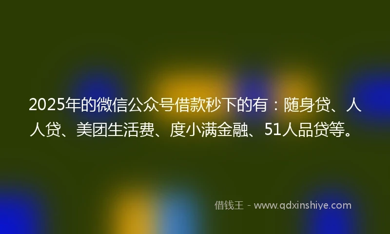 2025年的微信公众号借款秒下的有：随身贷、人人贷、美团生活费、度小满金融、51人品贷等。
