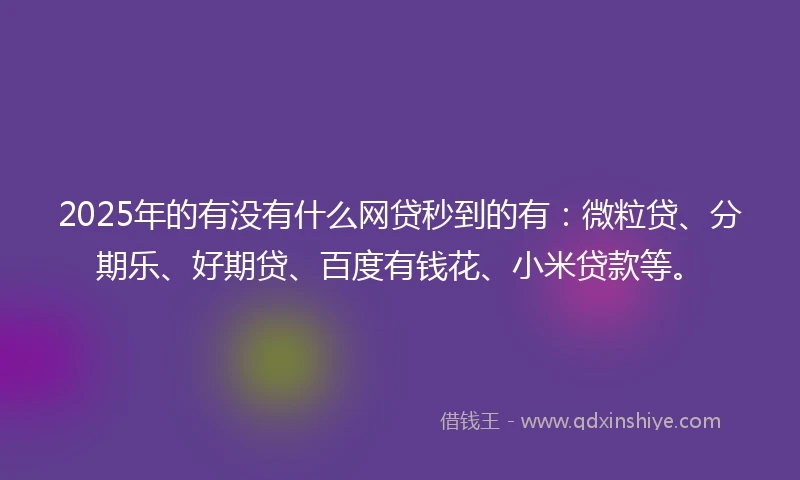 2025年的有没有什么网贷秒到的有：微粒贷、分期乐、好期贷、百度有钱花、小米贷款等。