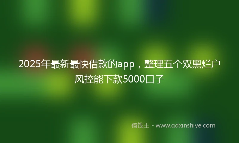 2025年最新最快借款的app，整理五个双黑烂户风控能下款5000口子