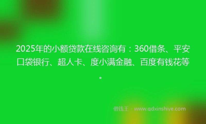 2025年的小额贷款在线咨询有：360借条、平安口袋银行、超人卡、度小满金融、百度有钱花等。