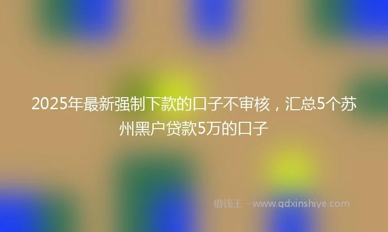 2025年最新强制下款的口子不审核，汇总5个苏州黑户贷款5万的口子