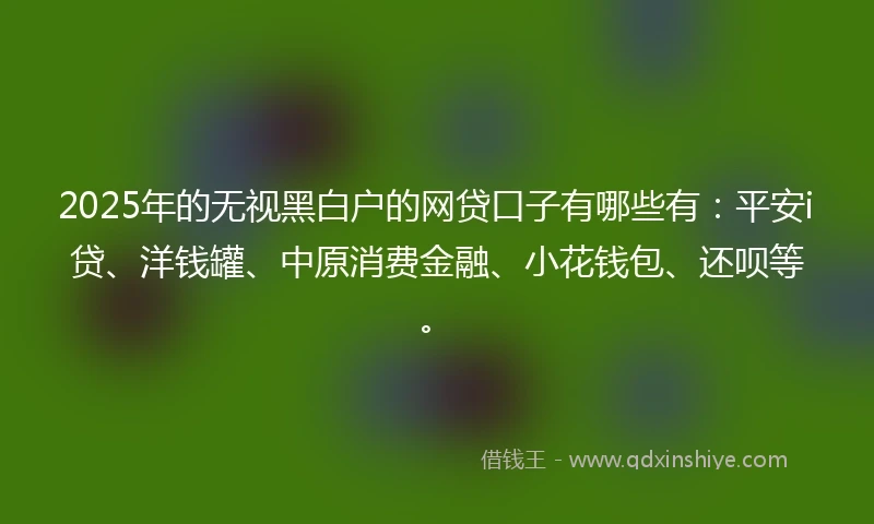 2025年的无视黑白户的网贷口子有哪些有：平安i贷、洋钱罐、中原消费金融、小花钱包、还呗等。