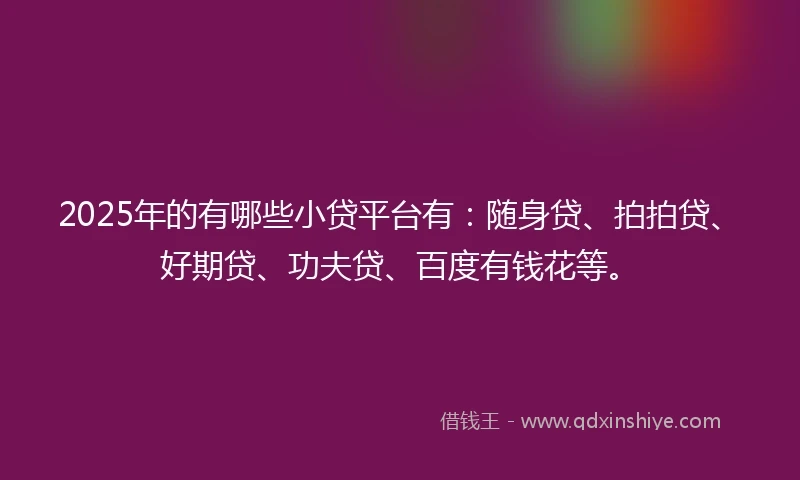 2025年的有哪些小贷平台有：随身贷、拍拍贷、好期贷、功夫贷、百度有钱花等。