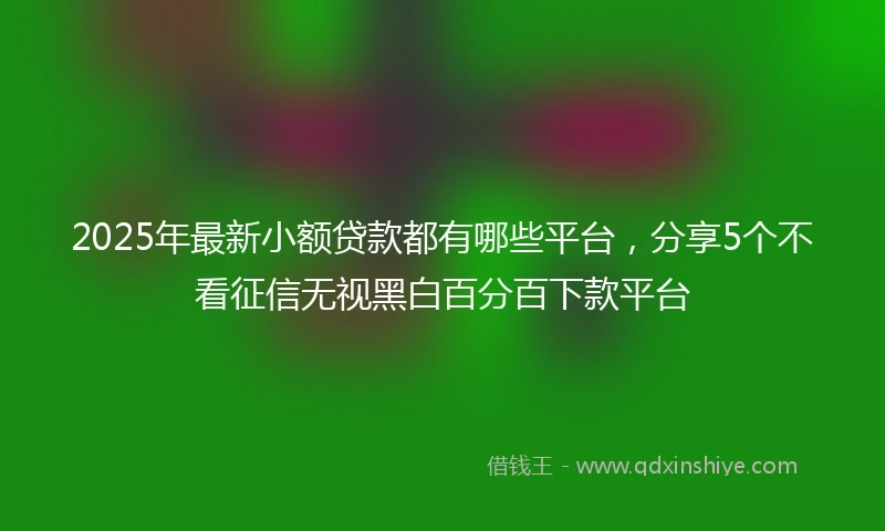 2025年最新小额贷款都有哪些平台，分享5个不看征信无视黑白百分百下款平台