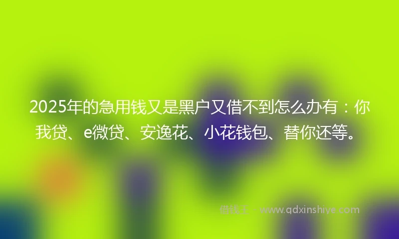 2025年的急用钱又是黑户又借不到怎么办有：你我贷、e微贷、安逸花、小花钱包、替你还等。