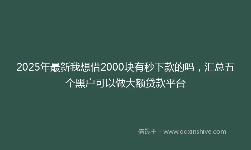 2025年最新我想借2000块有秒下款的吗，汇总五个黑户可以做大额贷款平台