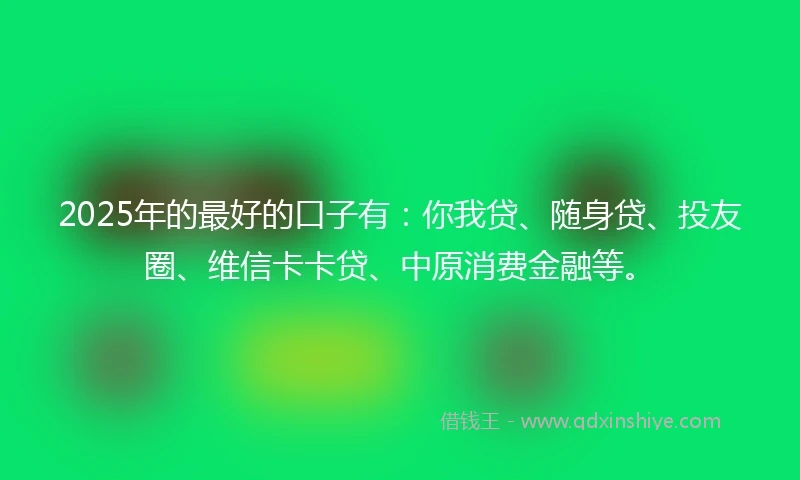 2025年的最好的口子有：你我贷、随身贷、投友圈、维信卡卡贷、中原消费金融等。