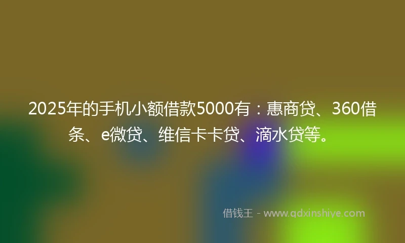2025年的手机小额借款5000有：惠商贷、360借条、e微贷、维信卡卡贷、滴水贷等。