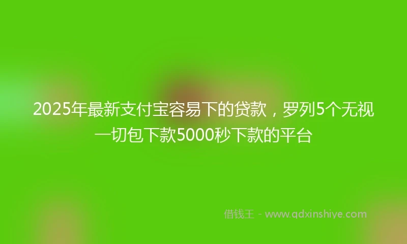 2025年最新支付宝容易下的贷款，罗列5个无视一切包下款5000秒下款的平台
