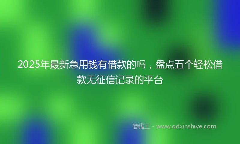 2025年最新急用钱有借款的吗，盘点五个轻松借款无征信记录的平台