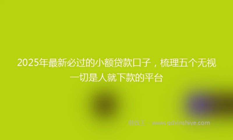 2025年最新必过的小额贷款口子，梳理五个无视一切是人就下款的平台