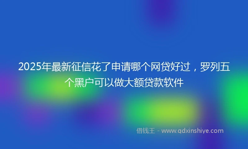 2025年最新征信花了申请哪个网贷好过，罗列五个黑户可以做大额贷款软件