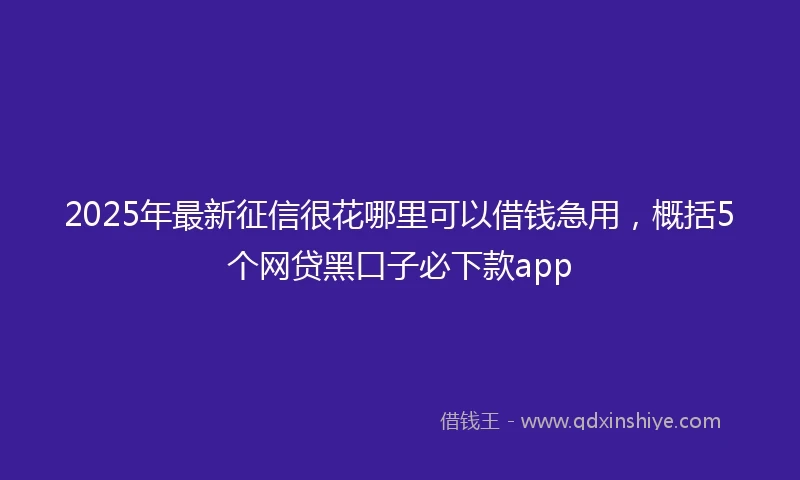2025年最新征信很花哪里可以借钱急用，概括5个网贷黑口子必下款app