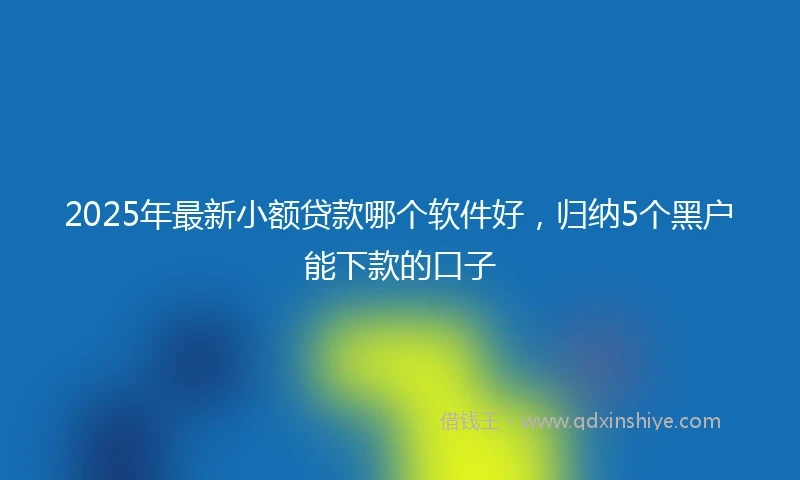 2025年最新小额贷款哪个软件好，归纳5个黑户能下款的口子