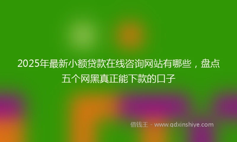 2025年最新小额贷款在线咨询网站有哪些，盘点五个网黑真正能下款的口子