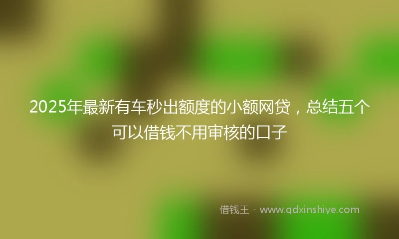 2025年最新有车秒出额度的小额网贷，总结五个可以借钱不用审核的口子