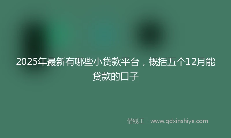 2025年最新有哪些小贷款平台，概括五个12月能贷款的口子