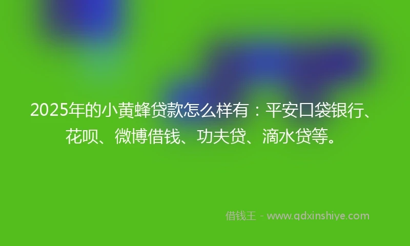 2025年的小黄蜂贷款怎么样有：平安口袋银行、花呗、微博借钱、功夫贷、滴水贷等。