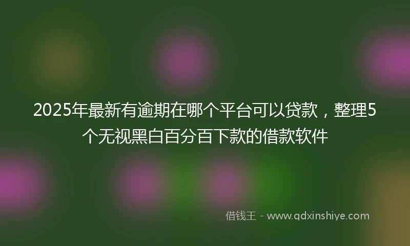 2025年最新有逾期在哪个平台可以贷款，整理5个无视黑白百分百下款的借款软件