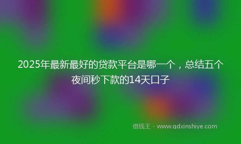 2025年最新最好的贷款平台是哪一个，总结五个夜间秒下款的14天口子