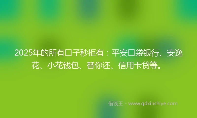 2025年的所有口子秒拒有：平安口袋银行、安逸花、小花钱包、替你还、信用卡贷等。
