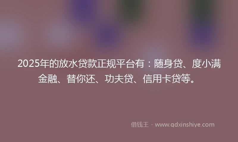 2025年的放水贷款正规平台有：随身贷、度小满金融、替你还、功夫贷、信用卡贷等。