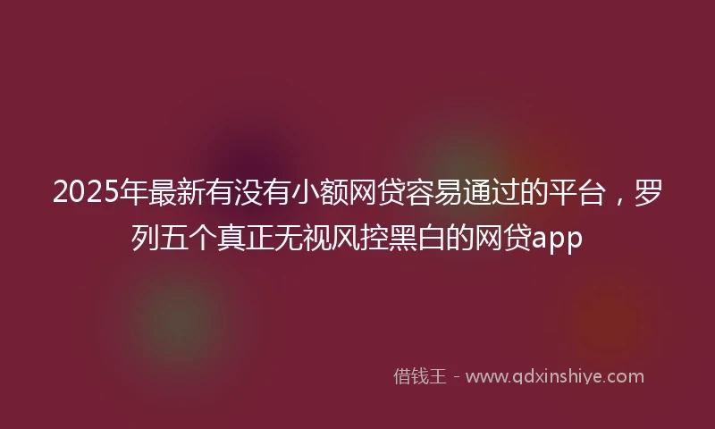 2025年最新有没有小额网贷容易通过的平台，罗列五个真正无视风控黑白的网贷app