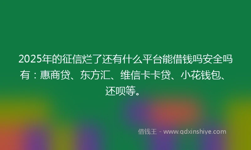 2025年的征信烂了还有什么平台能借钱吗安全吗有：惠商贷、东方汇、维信卡卡贷、小花钱包、还呗等。
