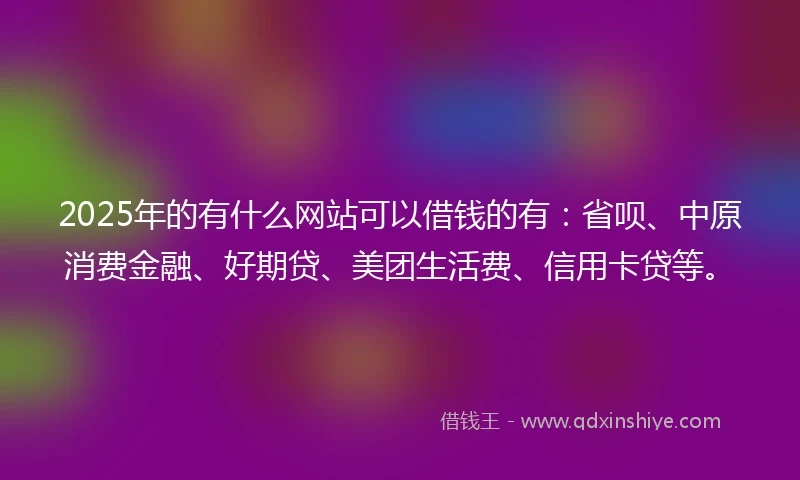 2025年的有什么网站可以借钱的有：省呗、中原消费金融、好期贷、美团生活费、信用卡贷等。