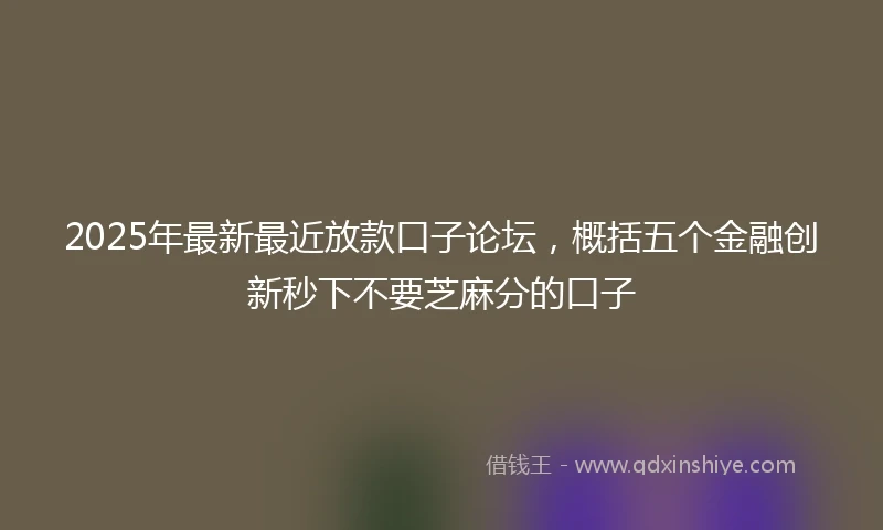 2025年最新最近放款口子论坛，概括五个金融创新秒下不要芝麻分的口子