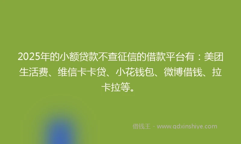 2025年的小额贷款不查征信的借款平台有：美团生活费、维信卡卡贷、小花钱包、微博借钱、拉卡拉等。