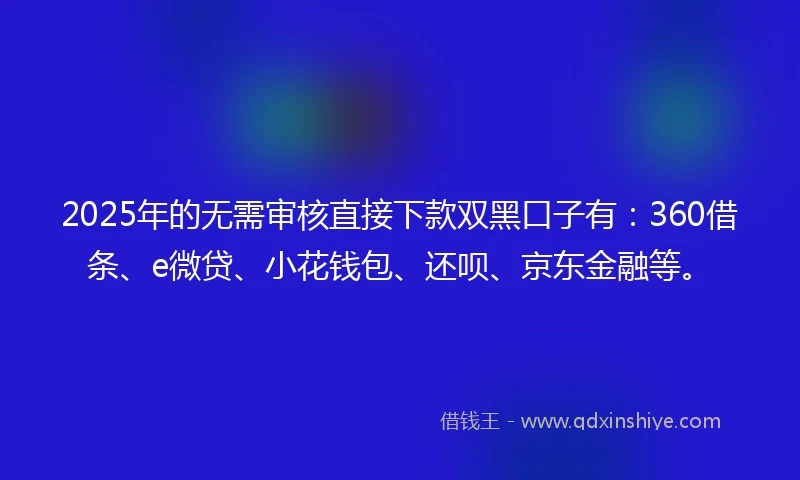 2025年的无需审核直接下款双黑口子有：360借条、e微贷、小花钱包、还呗、京东金融等。
