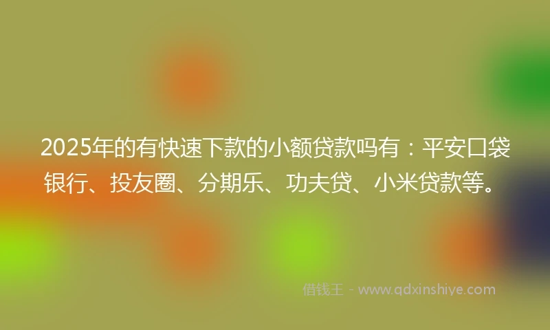 2025年的有快速下款的小额贷款吗有:平安口袋银行、投友圈、分期乐、功夫贷、小米贷款等。