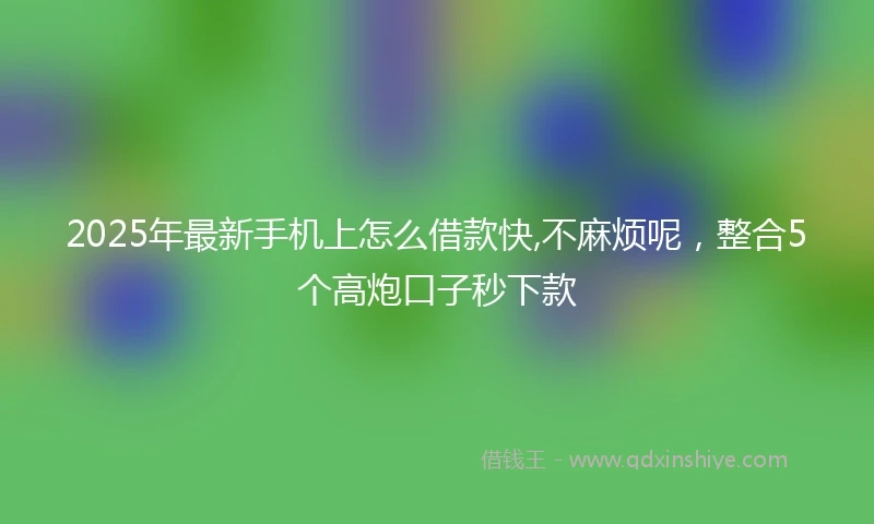 2025年最新手机上怎么借款快,不麻烦呢，整合5个高炮口子秒下款