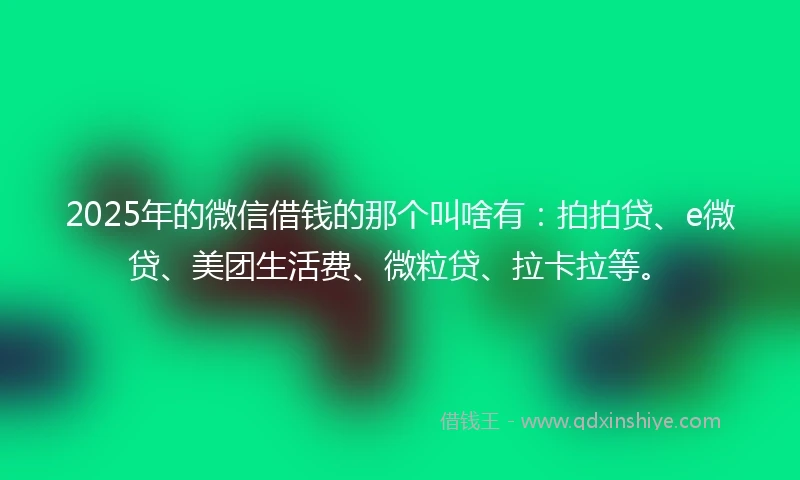 2025年的微信借钱的那个叫啥有：拍拍贷、e微贷、美团生活费、微粒贷、拉卡拉等。