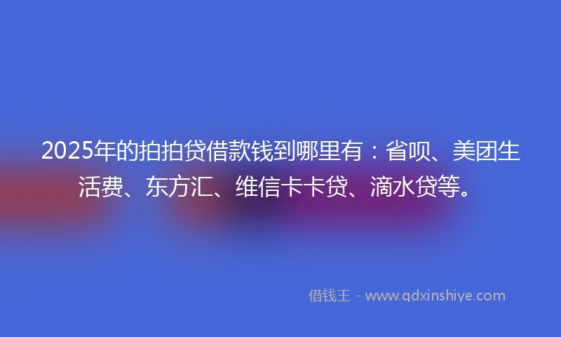 2025年的拍拍贷借款钱到哪里有：省呗、美团生活费、东方汇、维信卡卡贷、滴水贷等。