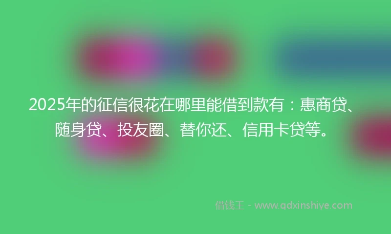 2025年的征信很花在哪里能借到款有：惠商贷、随身贷、投友圈、替你还、信用卡贷等。